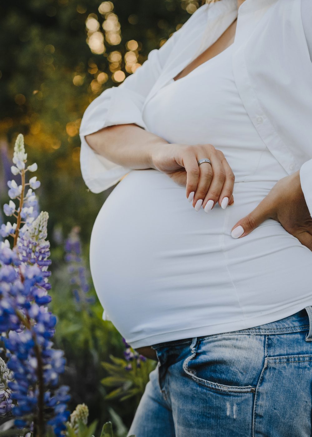 Maternity portrait in a garden of lupine flowers